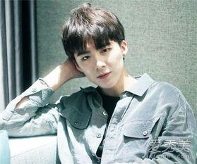 最新爆料刘宇宁视频下载,揭秘幕后故事与精彩瞬间